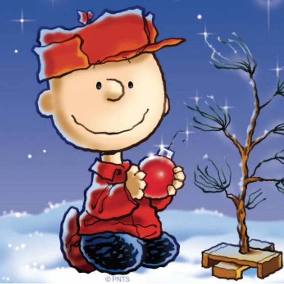 Meet your Posher, Lisa - Picture 1 of 1